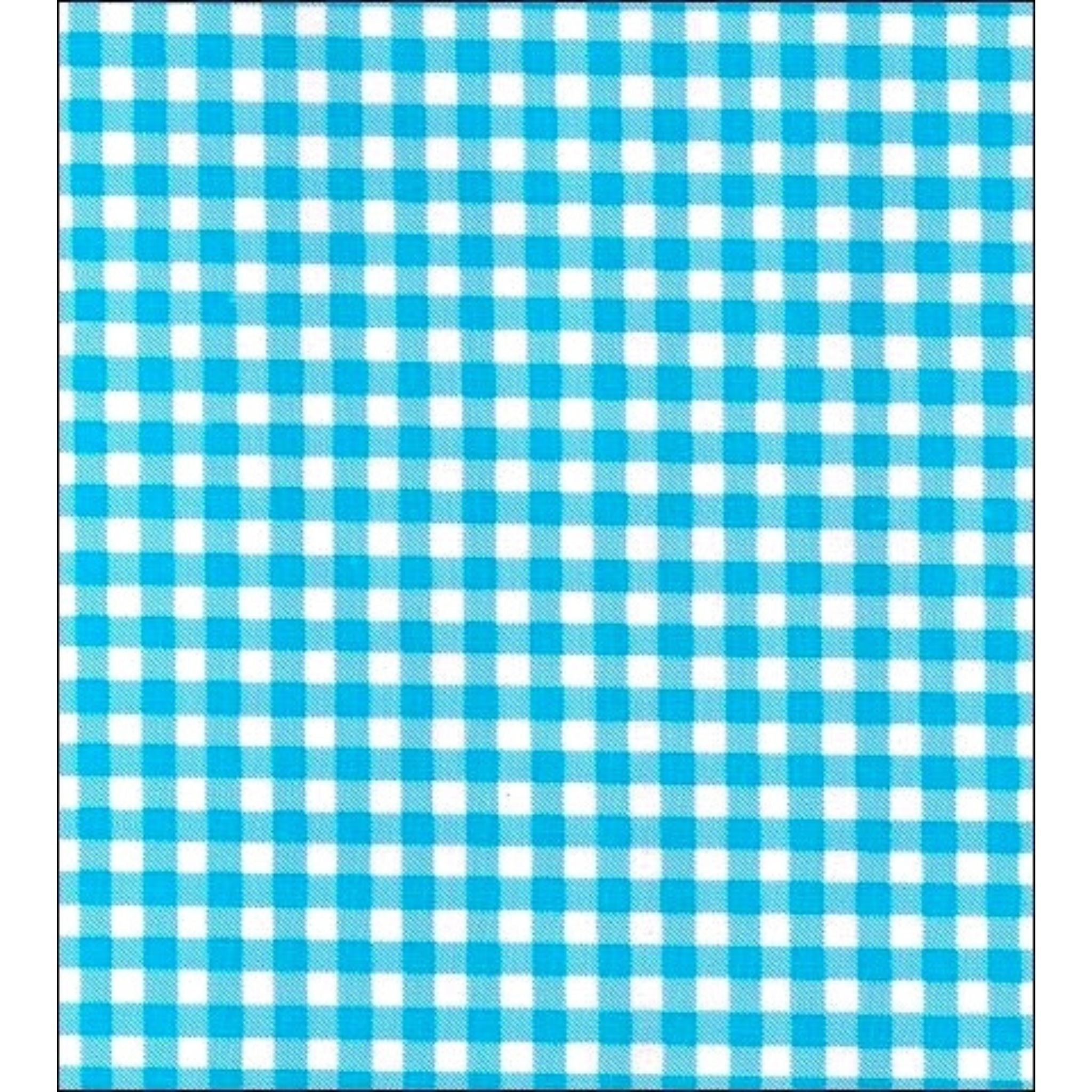 light blue gingham oilcloth swatch