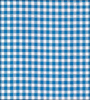Oilcloth Fabric Swatch: Medium Blue  Gingham check checkered