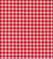 Red Gingham check oilcloth Swatch