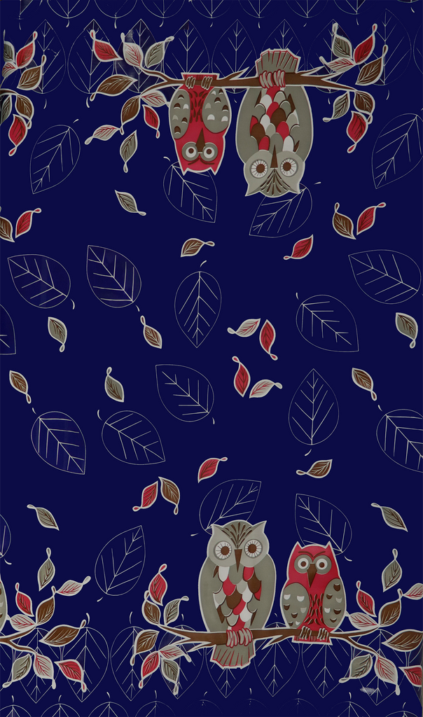 New Owls Print!