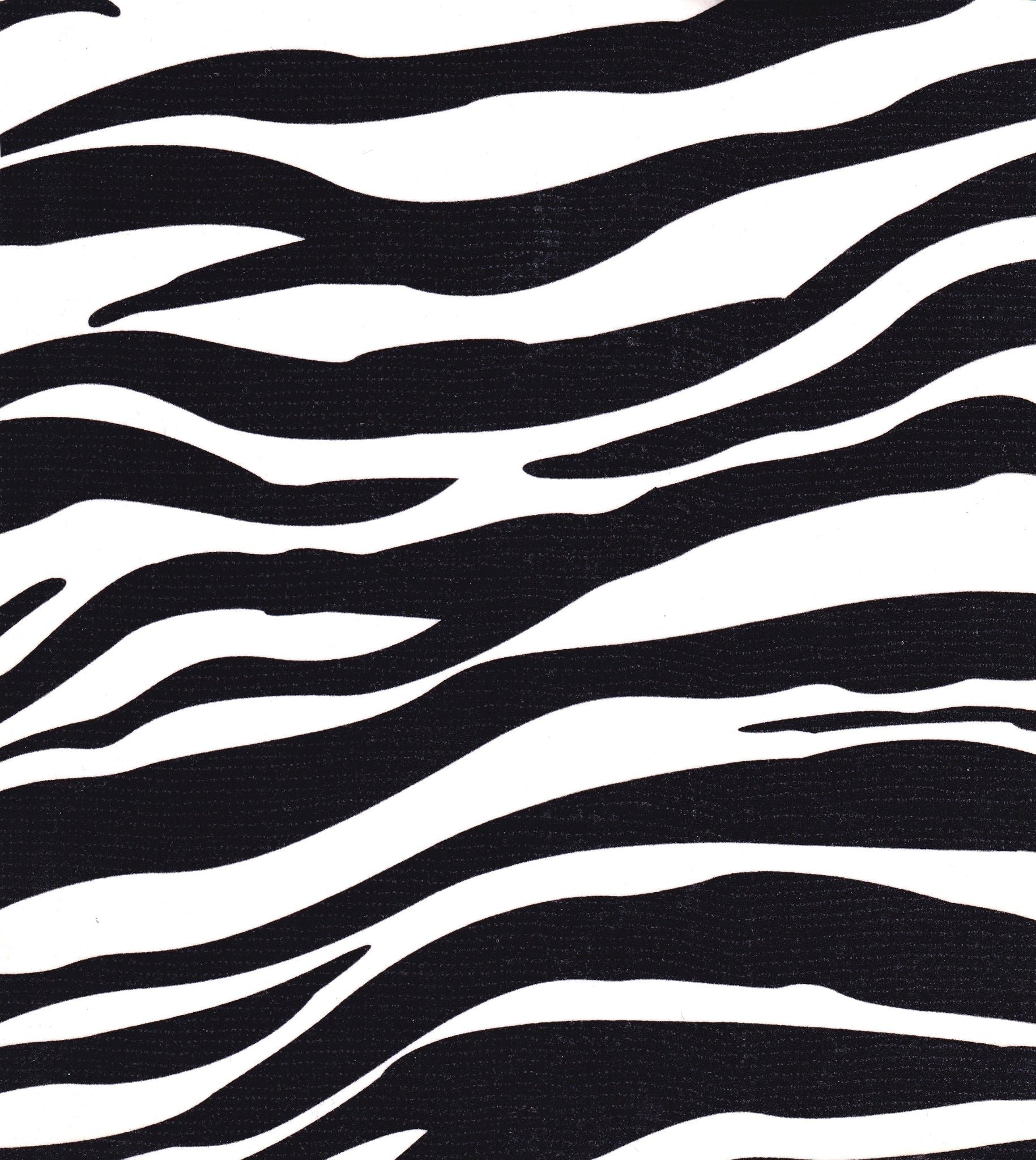 oilcloth by the yard zebra swatch