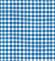 blue gingham check oilcloth