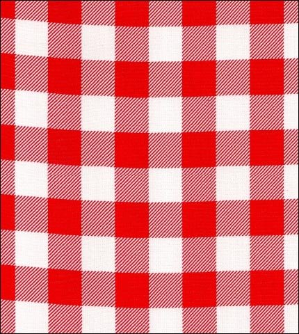 oilcloth by the yard large gingham red swatch