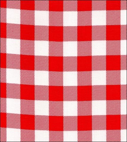 Large Red Gingham Buffalo Check oilcloth fabric swatch