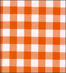 Gingham . Large Orange Oilcloth Fabric Roll