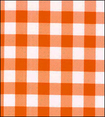 Orange Gingham Buffalo Check oilcloth fabric swatch