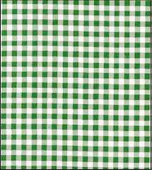 Gass Green Gingham Check oilcloth swatch
