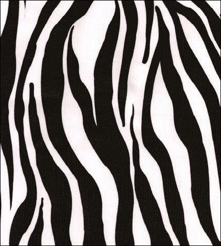 Oilcloth fabric swatch black and white zebra stripes